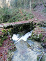 Pont d homme de la gerlette