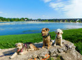 Pont de Beaugency