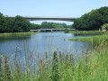 Promenade sur les rives de la Penfeld