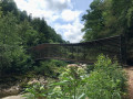 pont de vert