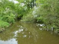 Pont sur le ruisseau des cinq bondes