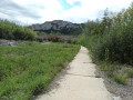 Pont sur le Verdouble