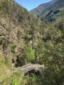 Pont type romain