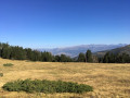 Prairie altitude côté France