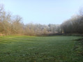 Prairie au milieu des bois