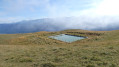 Prairie de N&egrave;ve