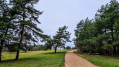 Prairie entourée de bois