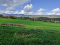 Prairies entre Saint-Maurice et Neuve-Eglise