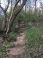 Premier escalier du parcours