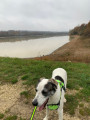 Entre deux lacs à Sainte-Foy-de-Peyrolières