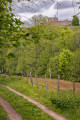 Première vue sur le château du Lichtenberg