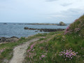 Terre et mer autour de la Chapelle Saint-Michel à Plouguerneau