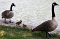 Promenade en famille sur le Port