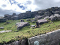 Des Grottes de Sare à Peña Plata