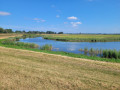 Von Radegast an die Elbe