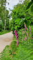 Autour du Boulevard Nature : Arche de la Nature entre landes & châtaigniers