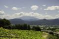 Rasteau Vue sur le Ventoux