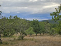 Boucle de Fond de Bouch à Coly