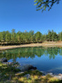 Reflets dans le lac