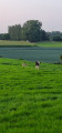 Rencontre avec la faune