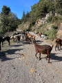 Col du Dragon et retour par Giennanova