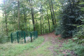 De la Maison Forestière de Lampertsloch au Refuge du Soultzerkopf