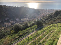Monastère de l'Annonciade au départ de la Gare Routière de Menton