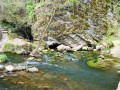 Grottes et résurgences du côté de Han-sur-Lesse