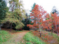 Retour au jardin botanique