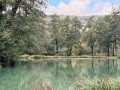 La tourbière de l'Herretang