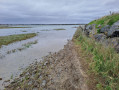 retour dans l'eau de mer