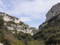 Retour forêt de Cèdres