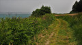 Rundweg von Loguivy de la Mer - Baie de Launay - l'Arcouest