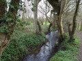 Rivière de Bavay chemin des foulons