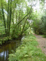 Rivière du Pont du Roc'h