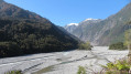 Franz glacier