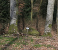 Sentier des Maquisards et Étang des Cailloux depuis Grandrupt-de-Bains