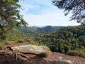 S'évader dans la Forêt Domaniale de la Petite Pierre Sud