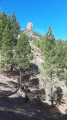 Roque de Nublo depuis la forêt de pins