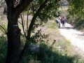 Sentier des vignerons et boucle panoramique à Saint-Julien-les-Martigues