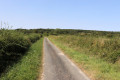 Route du Galbois, près de Champillet