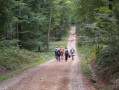 Route Forestière des Deux Mamelons