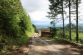 Route forestière sous le Puy de Chauzeix