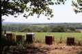 Ruches et campagne environnante de Fléré-La-Rivière