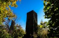 ruine du château de Greifenstein