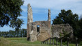 ruine du château Montfalcon