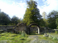 Ruine du Warthenberg