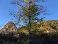 Ruines de maison