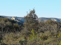 ruines du Castellas de Roquemartine