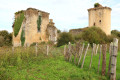 Ruines du château de la Prune